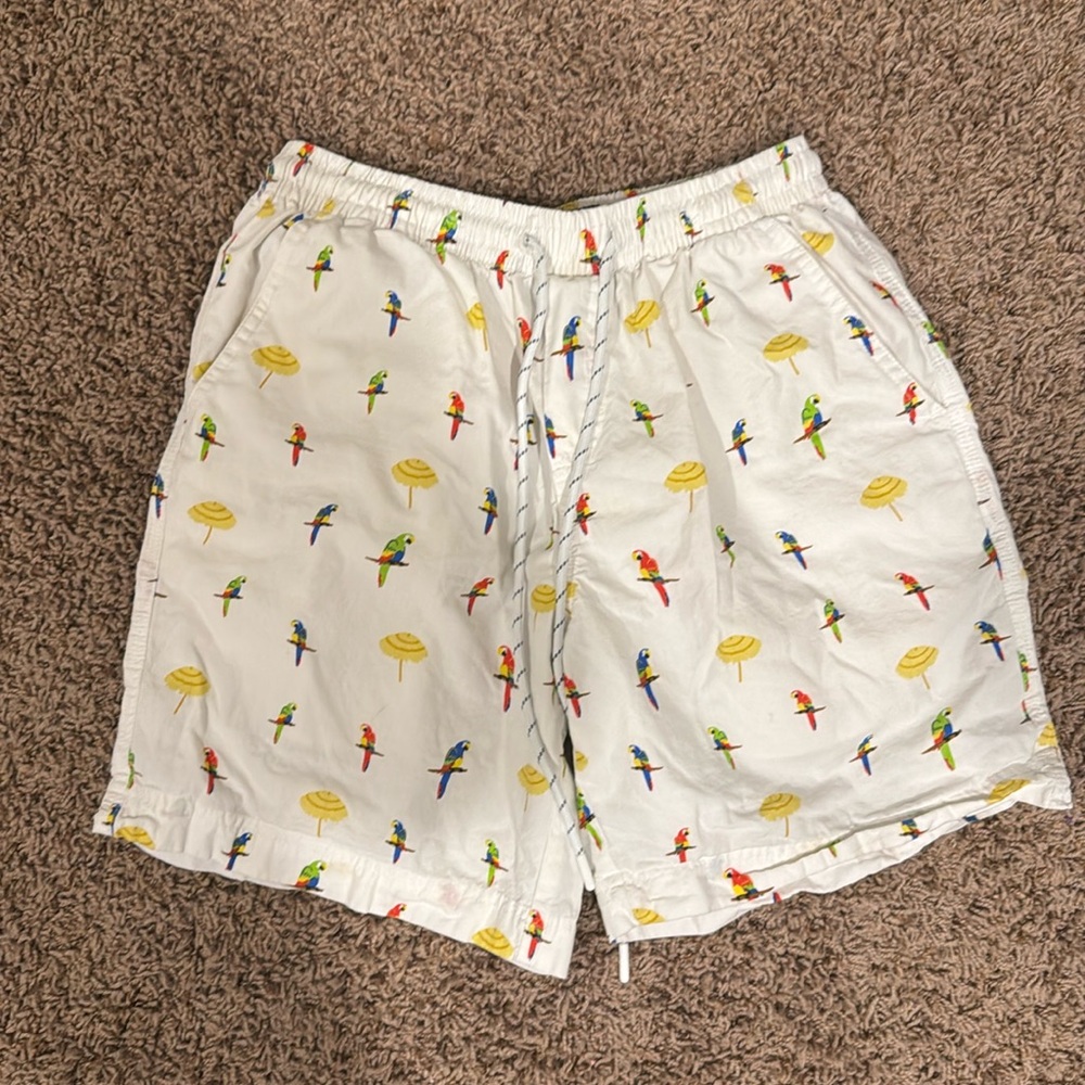Desert Dunes Shorts